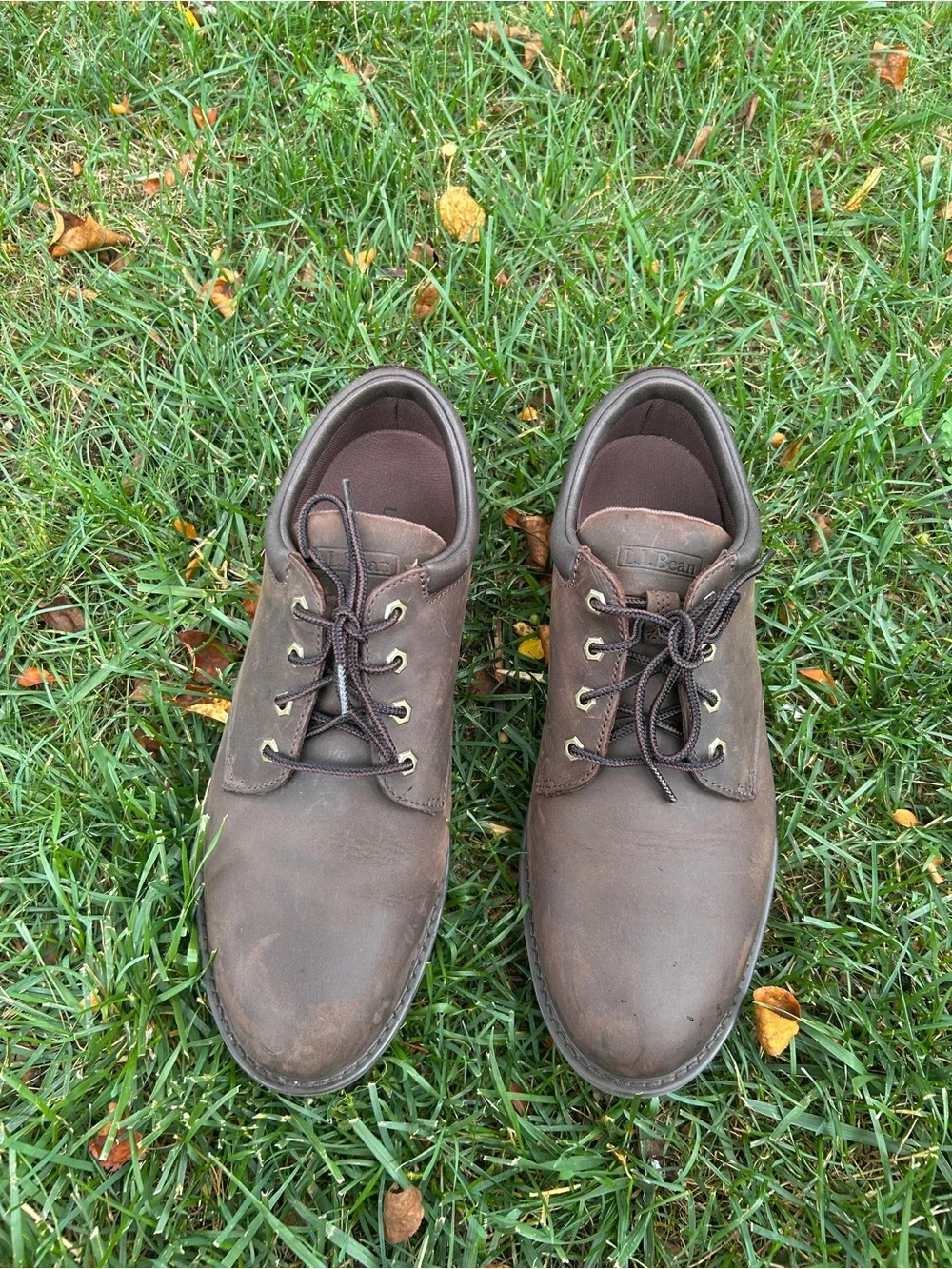 L.L. Bean Men's Dark Brown Leather Chukka Boots